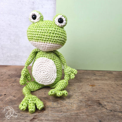 DIY Crochet Kit - Vinny Frog | Blended Yarn | Amigurumi | 30 cm